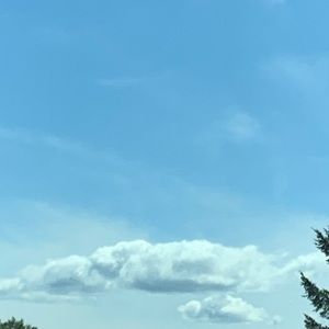 Meet your Posher, Maekyla